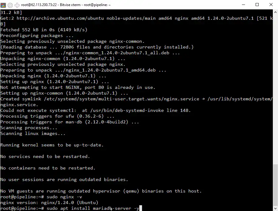 Step 4: Check Nginx Installation & Install MariaDB - Setting Up a CMS Web Development Environment on a VPS